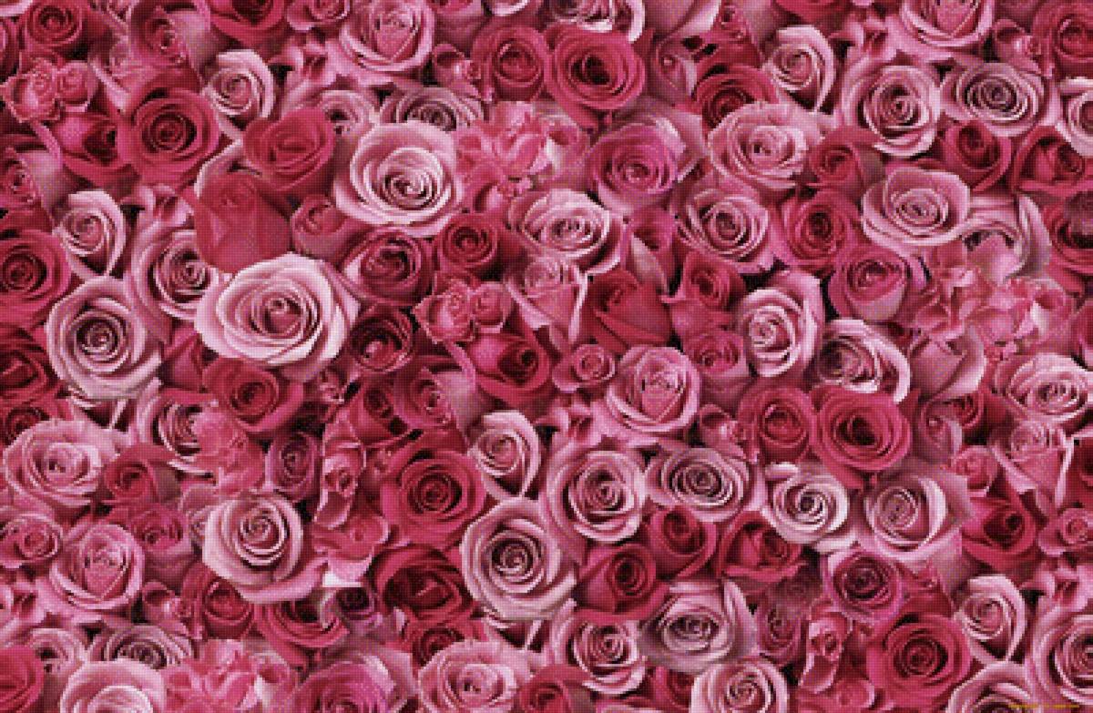 Розовые розы - букет, наволочка, цветы, подушка, розы - предпросмотр