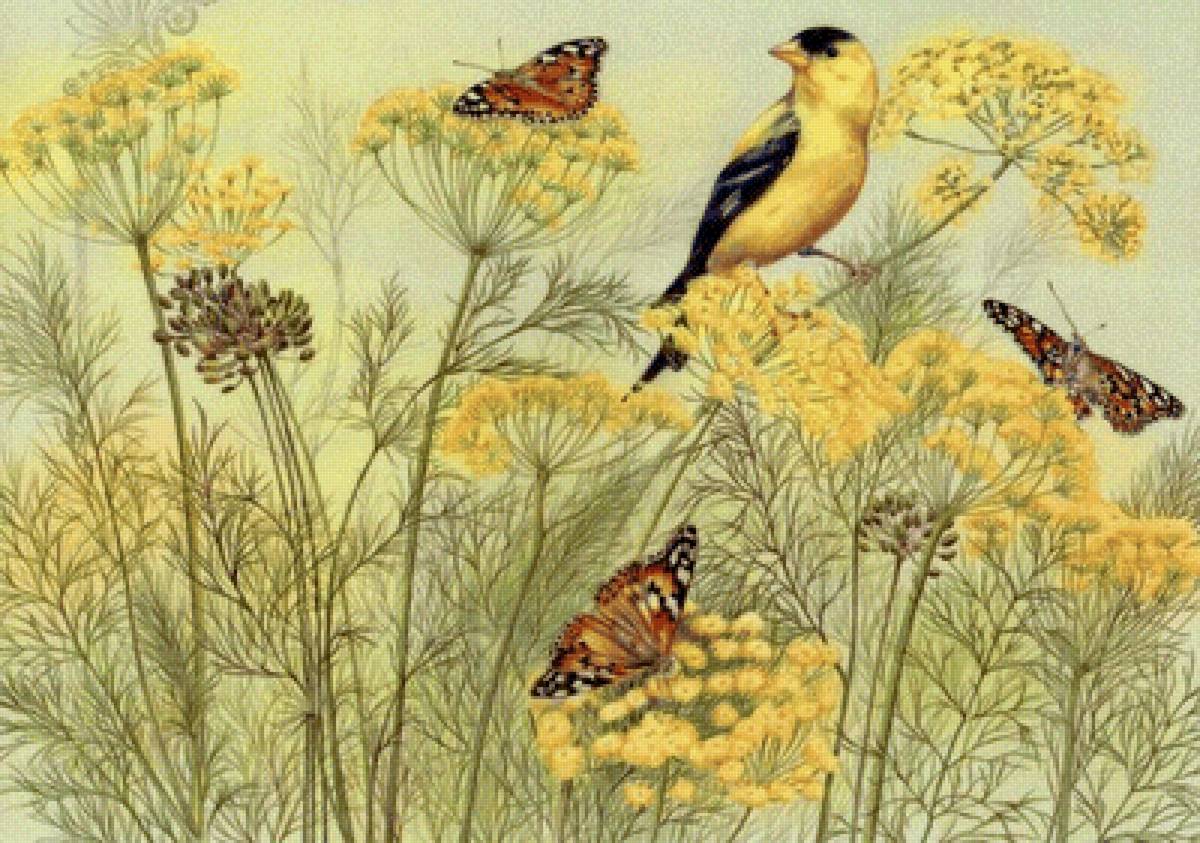 Птичка - лето, трава, птичка, бабочки - предпросмотр