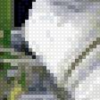 Предпросмотр схемы вышивки «лилии» (№2498042)