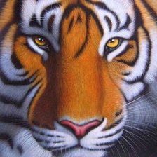 подушка Тигр