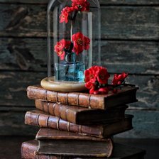 книги, цветы, ключ