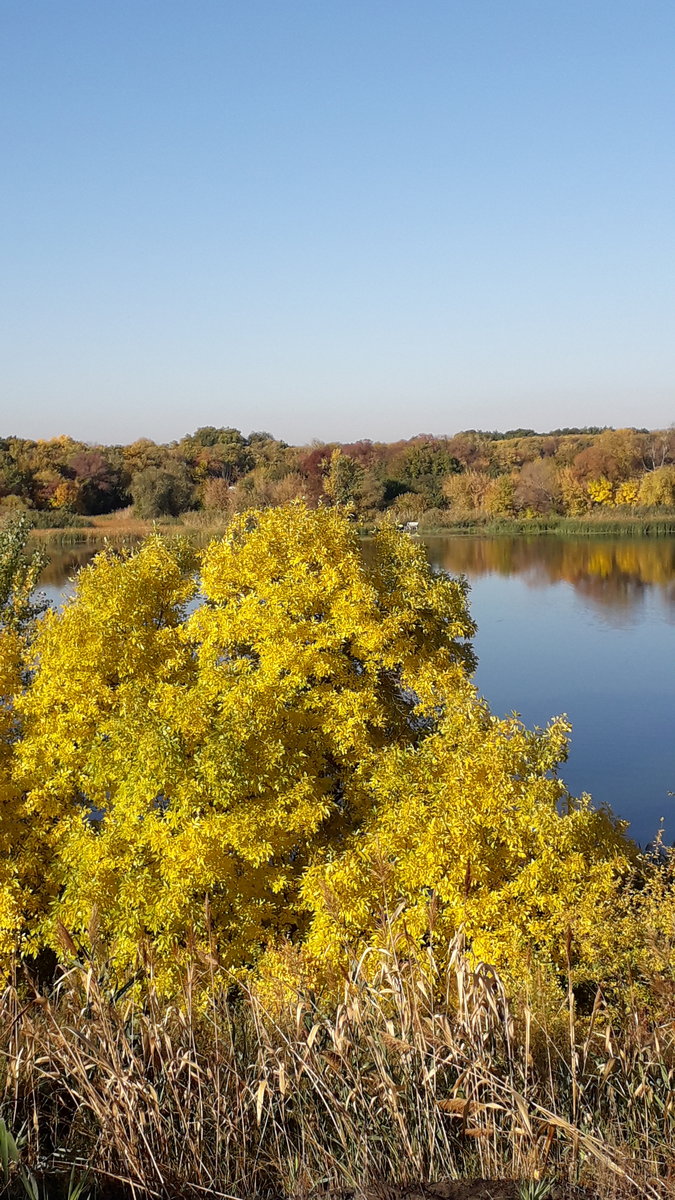 Осень - река, осень, природа, пейзаж - оригинал