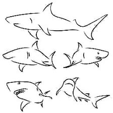 Схема вышивки «Акулы»