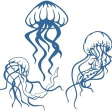 Медузы 2