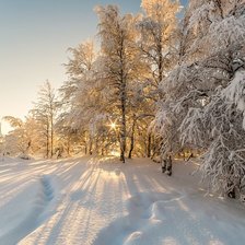 Схема вышивки «№2504193»