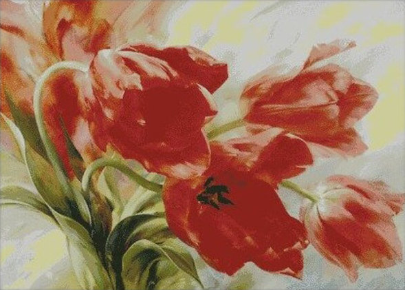 Tulip - tulip - оригинал