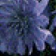 Предпросмотр схемы вышивки «Полевые цветы» (№2509973)