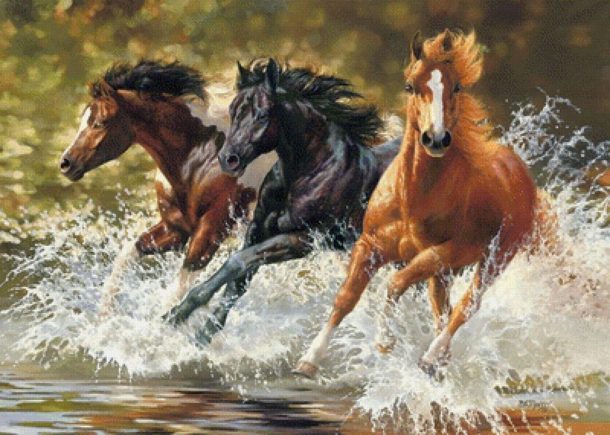 Лошади - бегущие лошади, тройка, лошади, вода - оригинал