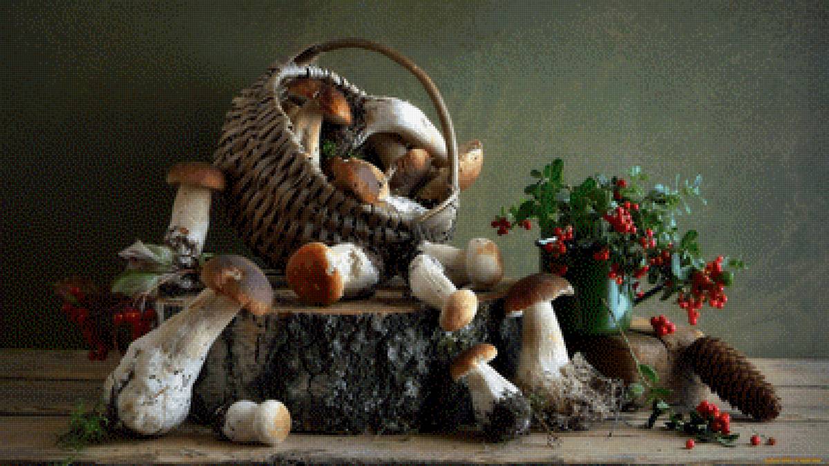 Грибная пора - грибы, натюрморт, ягоды, лето - предпросмотр