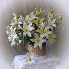 Белые лилии
