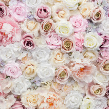 Схема вышивки «rosas»