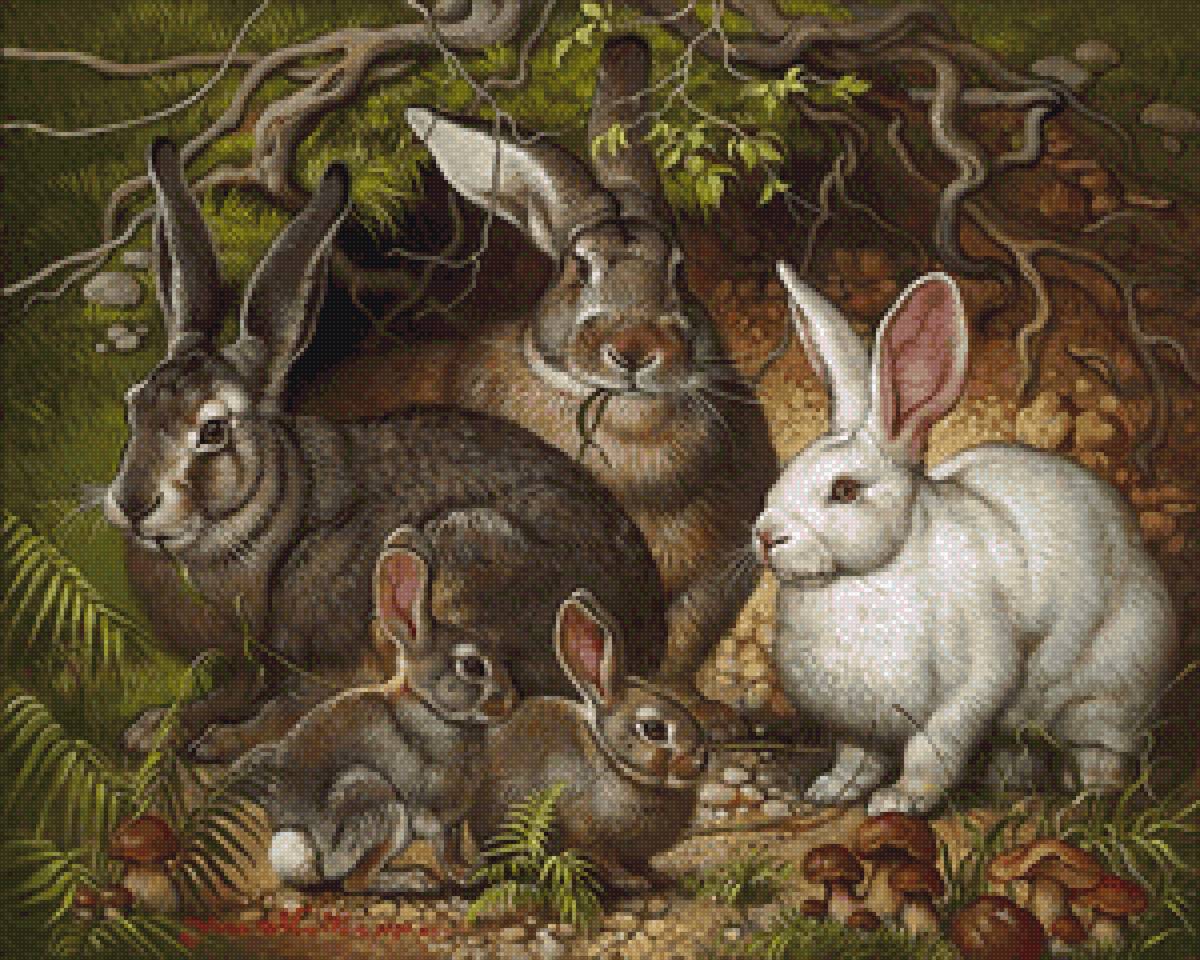 Кролики - яна мовчан, кролики - предпросмотр