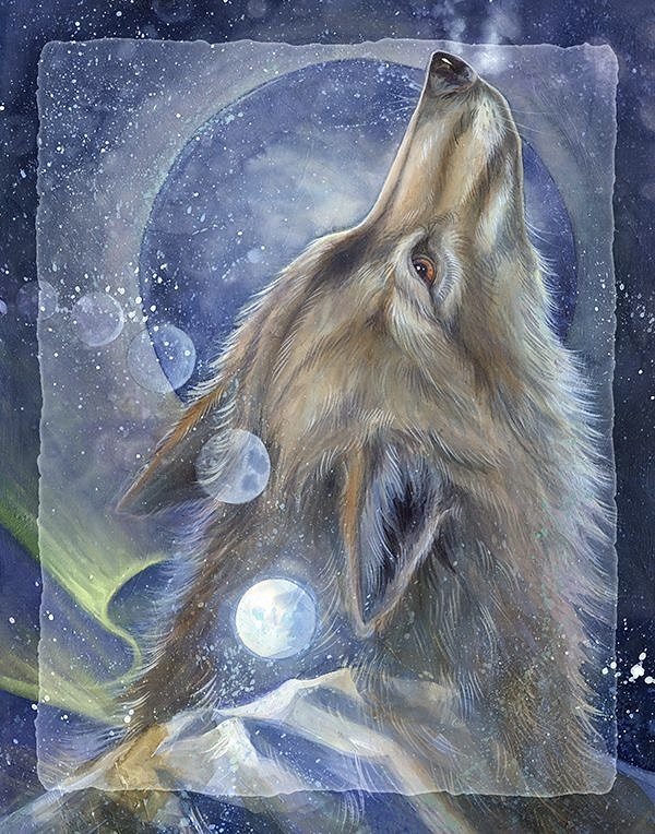 волк одиночка - звери, природа, волк - оригинал