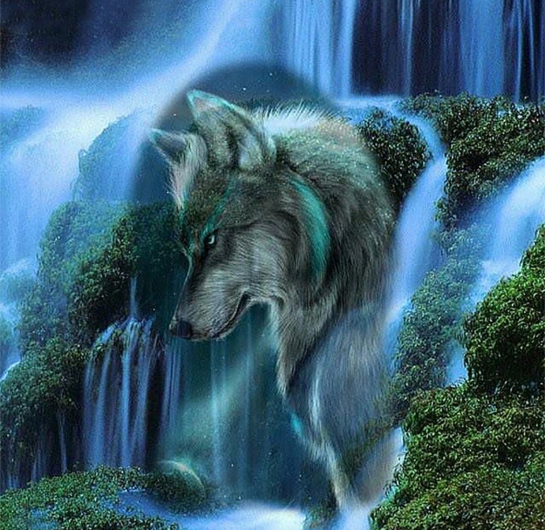 Сквозь водопад - водопад, хищник, волк, взгляд - оригинал