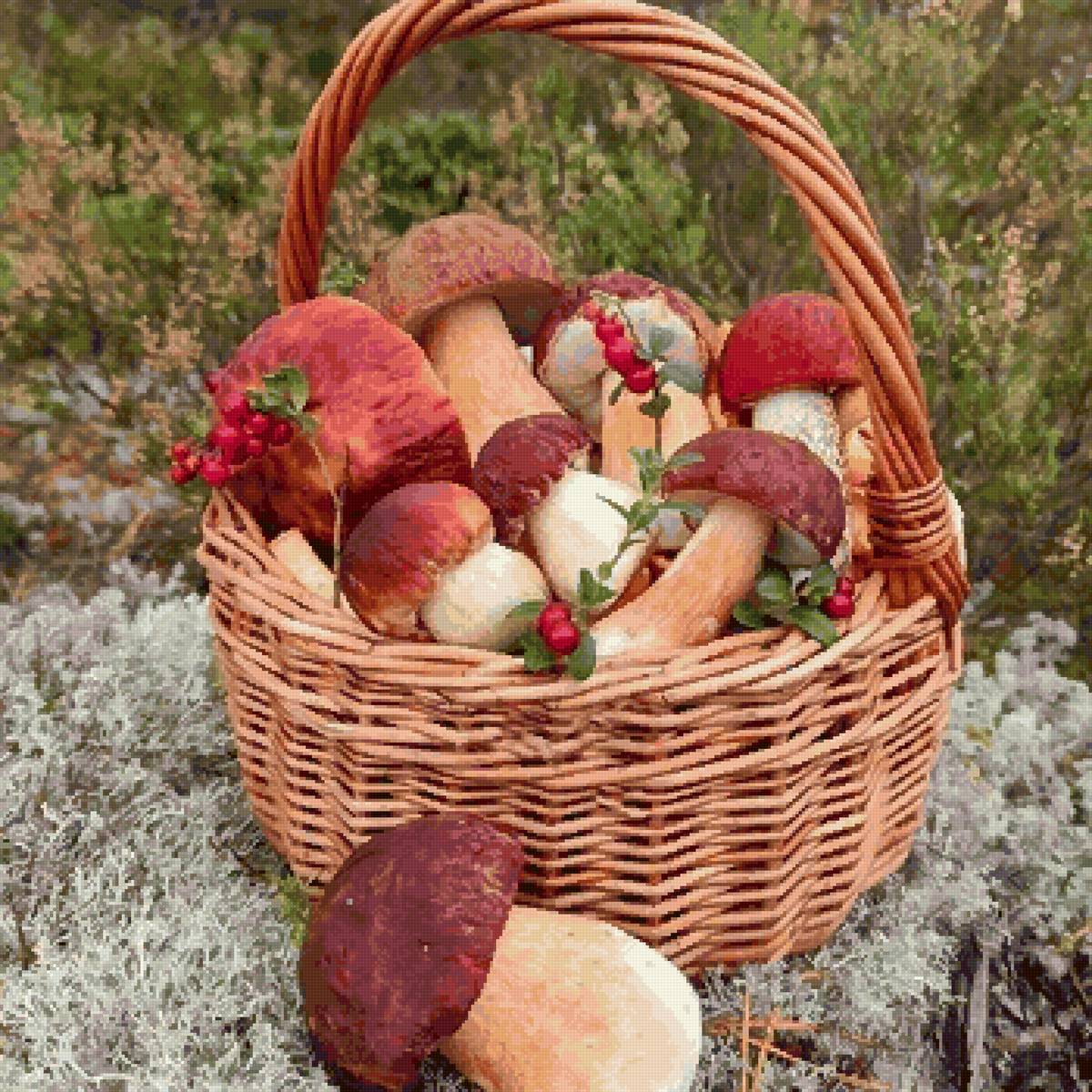 Грибная пора - ягоды, гриб, брусника - предпросмотр