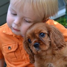 Малыш с собакой