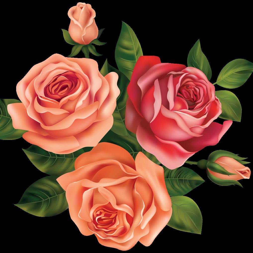 Подушка диванная Розы - подушка, розы, цветы - оригинал