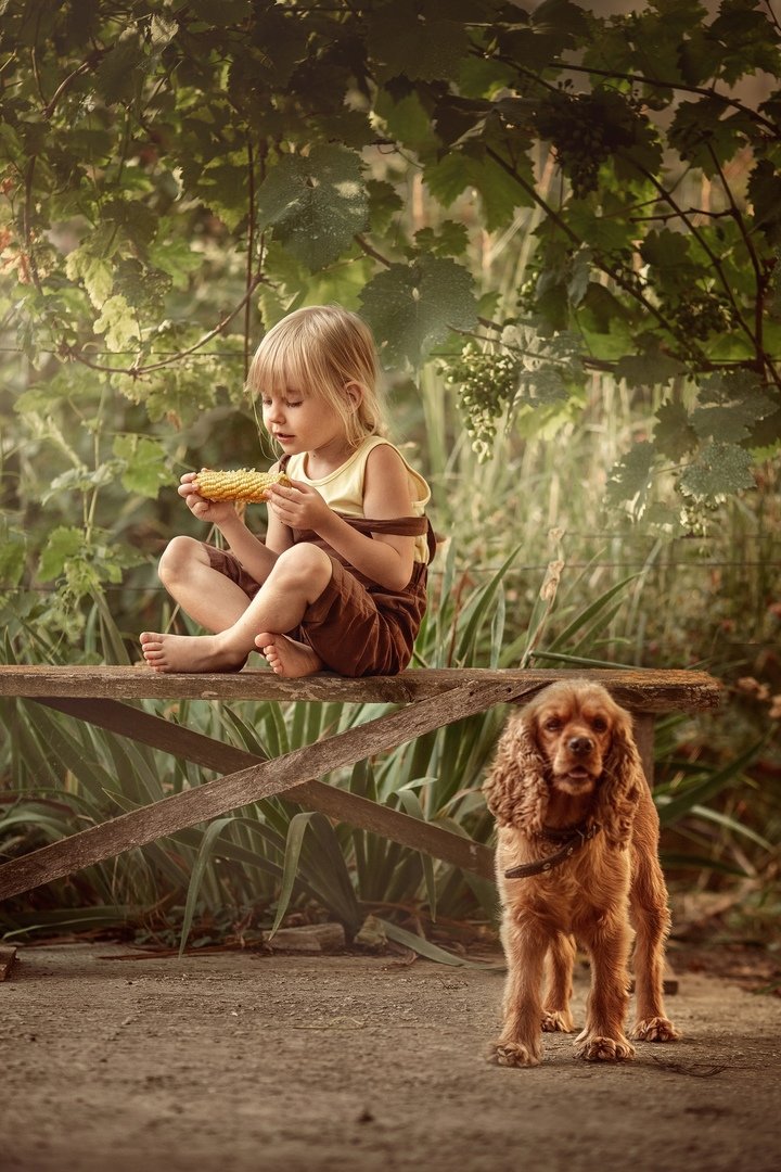 Девочка с кукурузой - собака, девочка, кукуруза - оригинал
