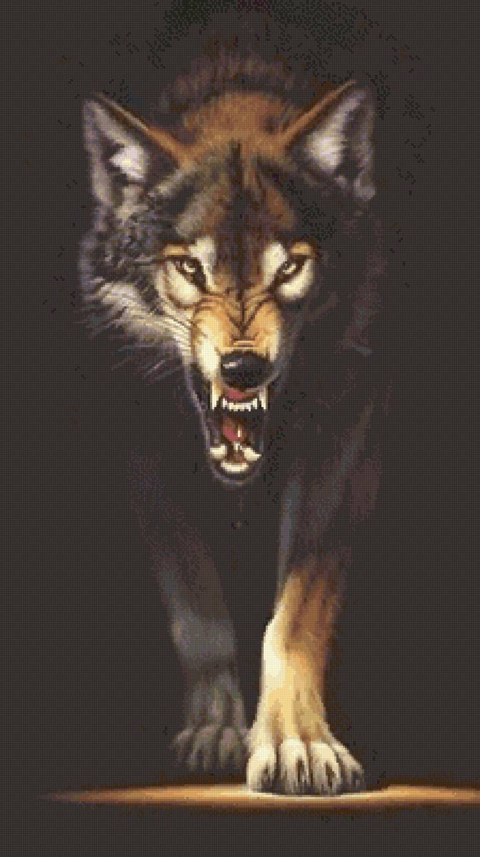 Взгляд из тьмы - волки, взгляд из тьмы, животные, волк - предпросмотр