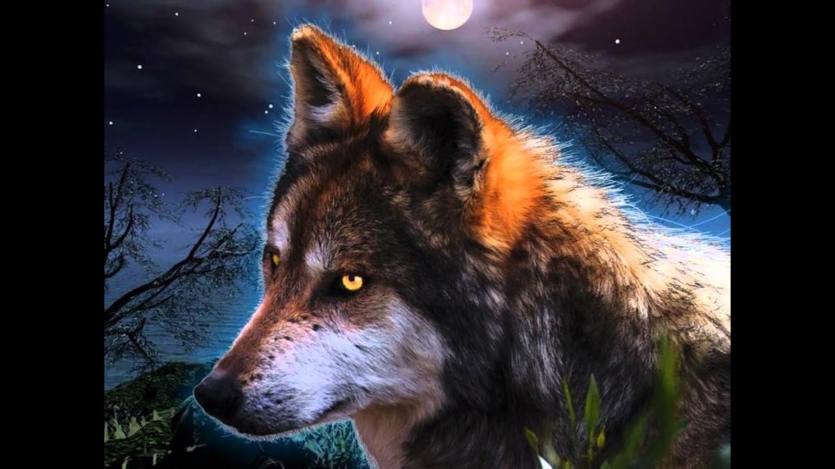 Волк - луна, волк - оригинал