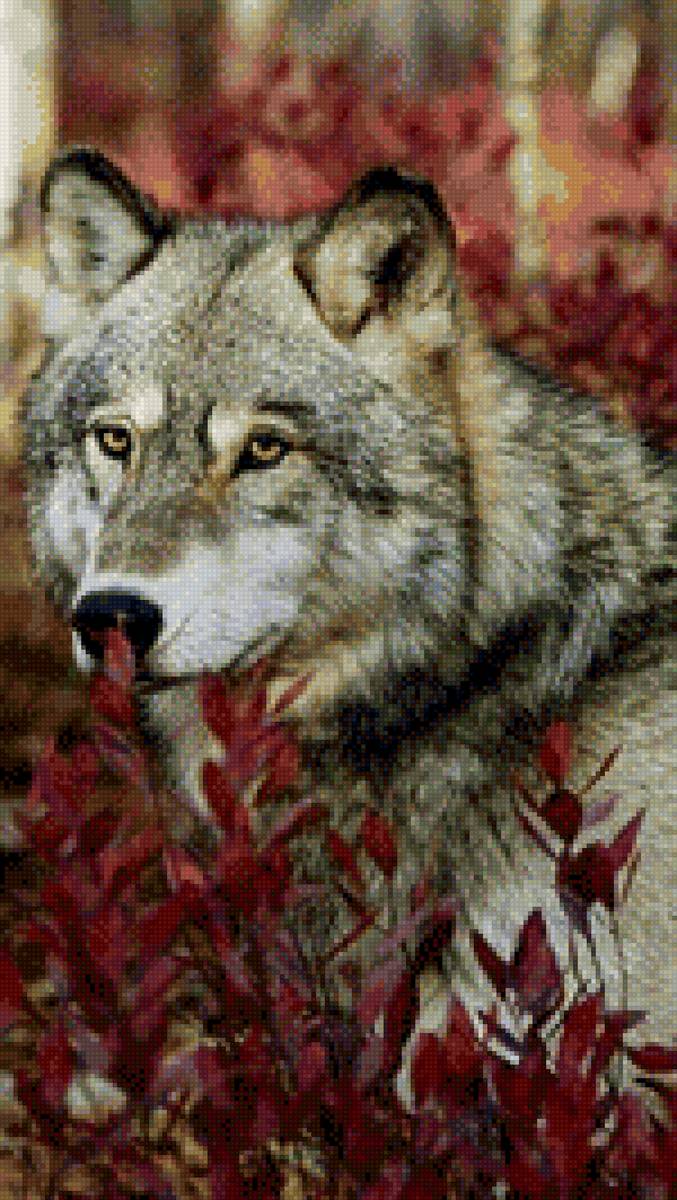 Волк в лесу - волк, лес, природа - предпросмотр