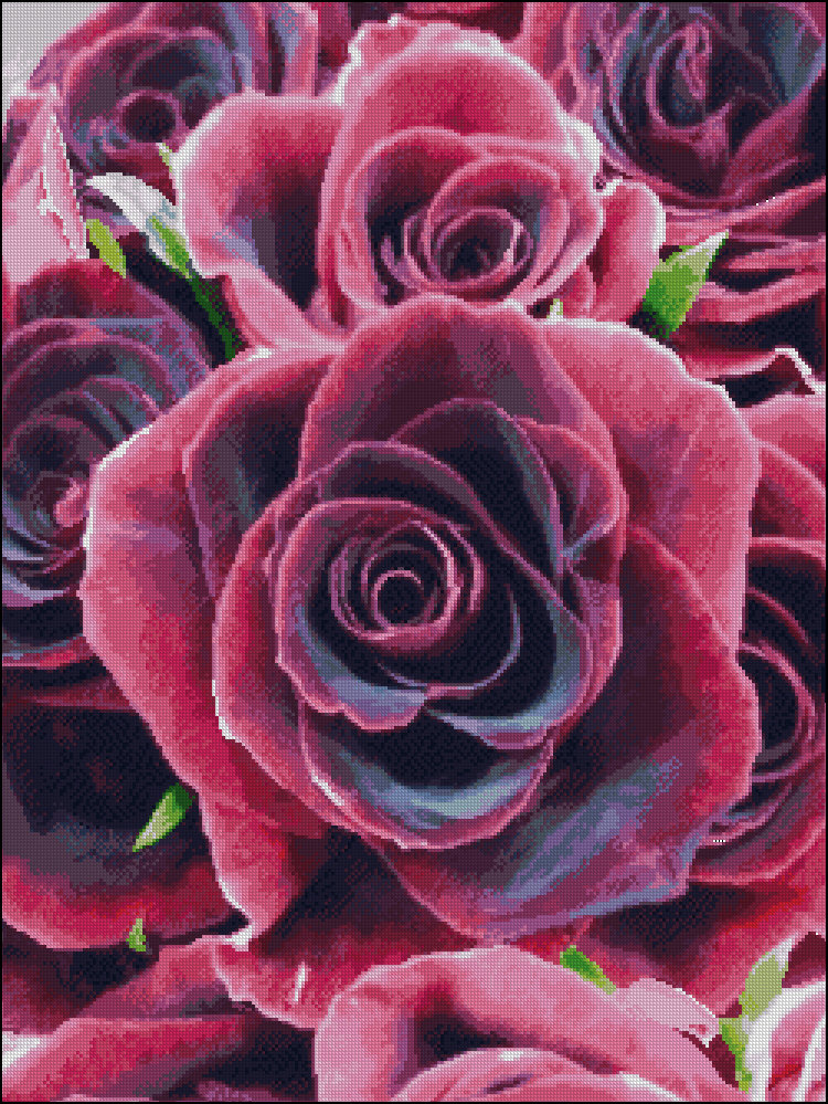 Бархатная роза - цветы, букет, розовый, розы - оригинал
