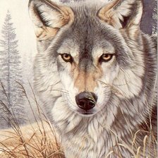 Оригинал схемы вышивки «Волк» (№2541695)
