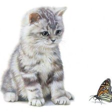 Схема вышивки «Котёнок с бабочкой»