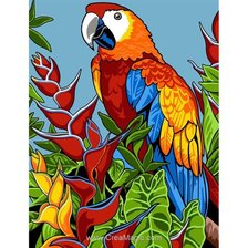 Оригинал схемы вышивки «попугай» (№2543039)