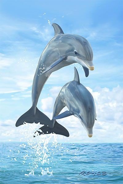 Море с дельфинами - дельфины - оригинал