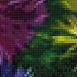 Предпросмотр схемы вышивки «Разноцветные астры» (№2567868)