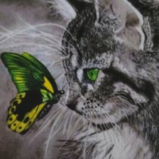 Схема вышивки «gato mariposa»