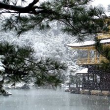 Схема вышивки «зима в японии»