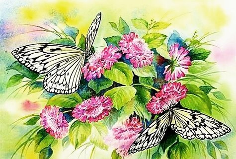 №2590741 - бабочки, цветы - оригинал