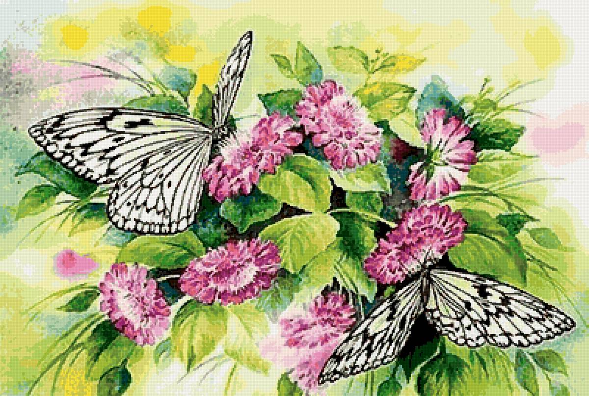 №2590741 - цветы, бабочки - предпросмотр
