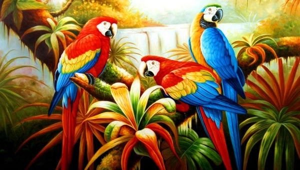 №2592156 - попугаи, птицы - оригинал