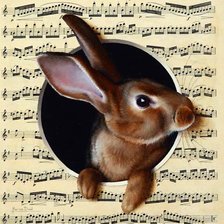 Заяц и ноты