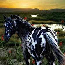 Схема вышивки «Лошадь в поле»