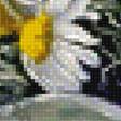 Предпросмотр схемы вышивки «Букет полевых цветов» (№2597395)