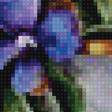 Предпросмотр схемы вышивки «Цветы и бабочки» (№2597407)