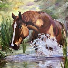 Лошадь в реке