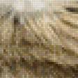 Предпросмотр схемы вышивки «Котюня» (№2599769)