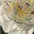 Предпросмотр схемы вышивки «Букет цветов» (№2600498)