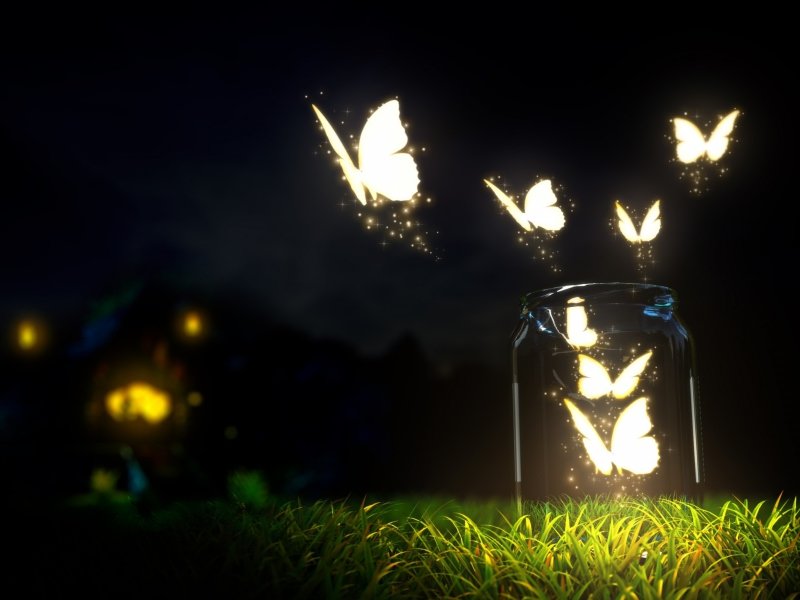 Ночь - бабочки, черный, трава - оригинал