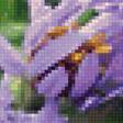Предпросмотр схемы вышивки «сиреневые цветы» (№2614001)