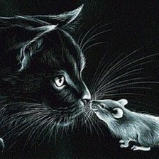 Кот и мышь
