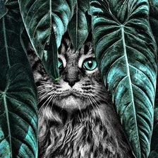 Схема вышивки «Кот в джунглях»