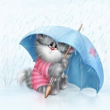 Кот, дождь, юмор