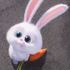 кролик с морковкой