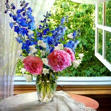 цветы на окне
